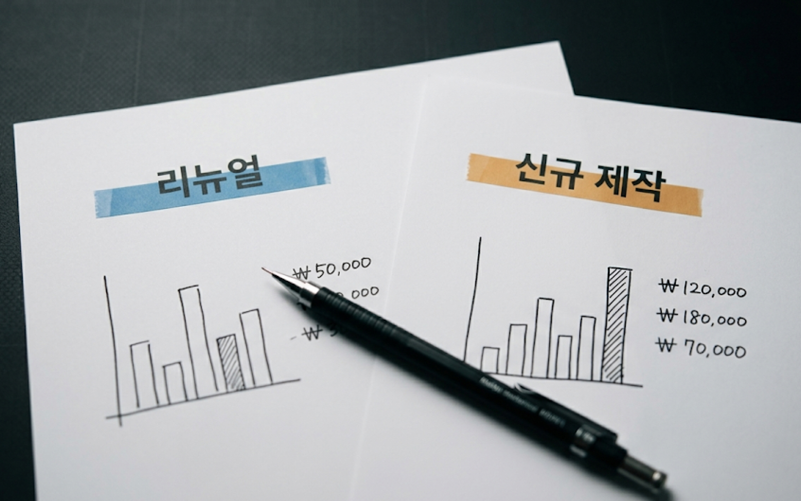 홈페이지 리뉴얼 비용을 신규 제작과 비교 검토하는 모습